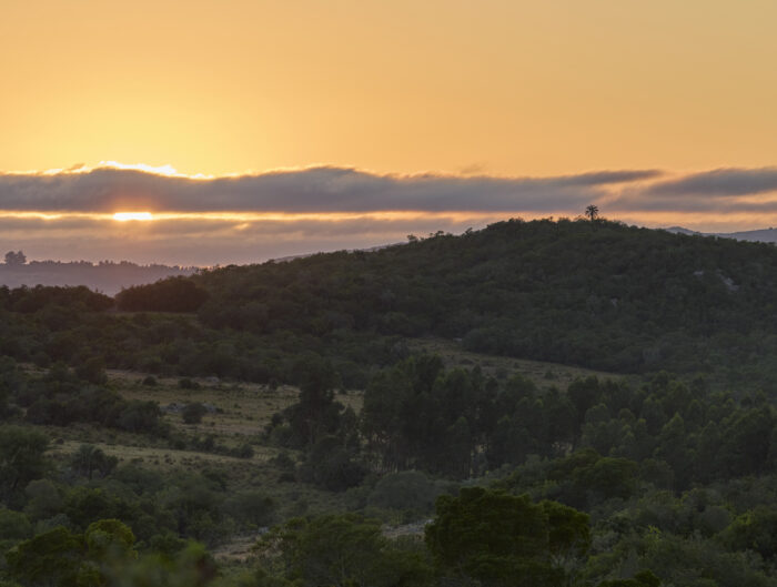 Reserva Cerro Áspero, Barrio de chacras sustentables, Maldonado, Uruguay. Ph: Tali Kimelman.