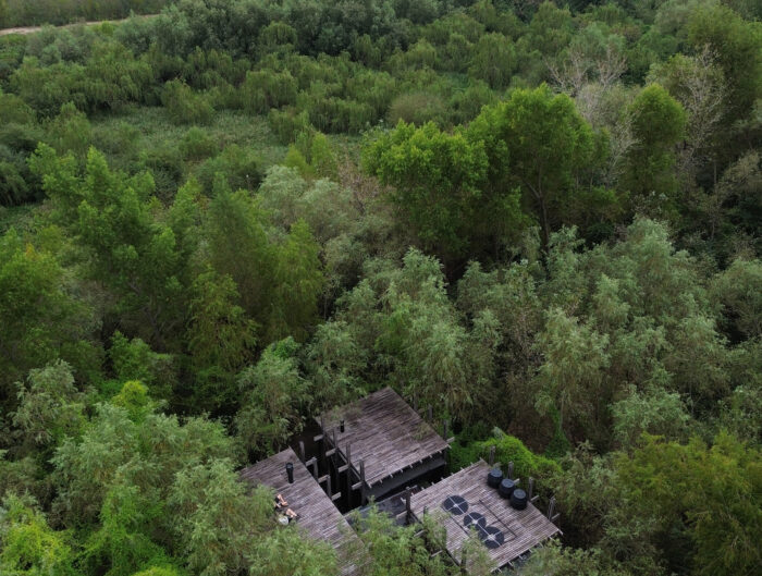 Casa Libelula - Jeffry Paredes