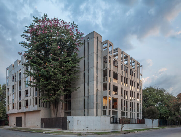 JCH Camet Jacinto - Ph Federico Kulekdjian