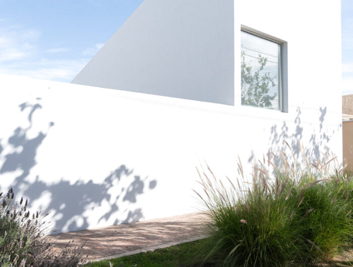 Lucía Esteras y Gonzalo Perrote - Casa para un árbol - Foto: Juan Cruz Paredes