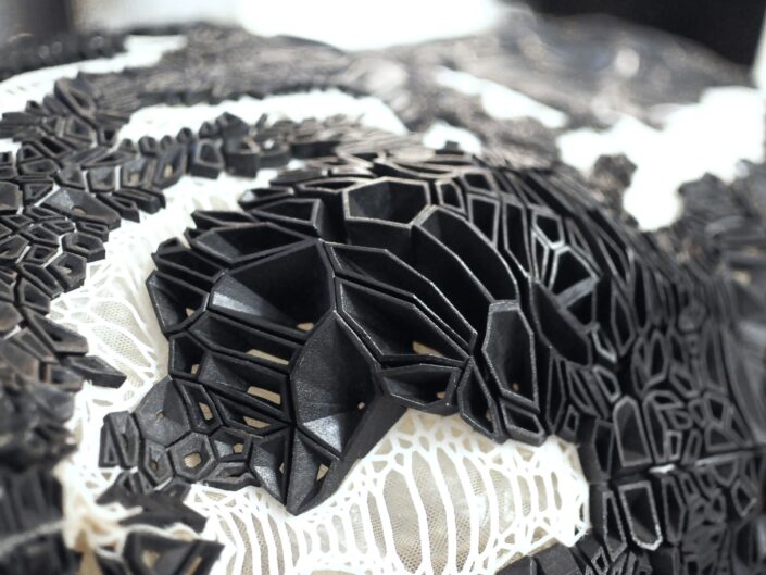 Niccolo Casas x Iris van Herpen